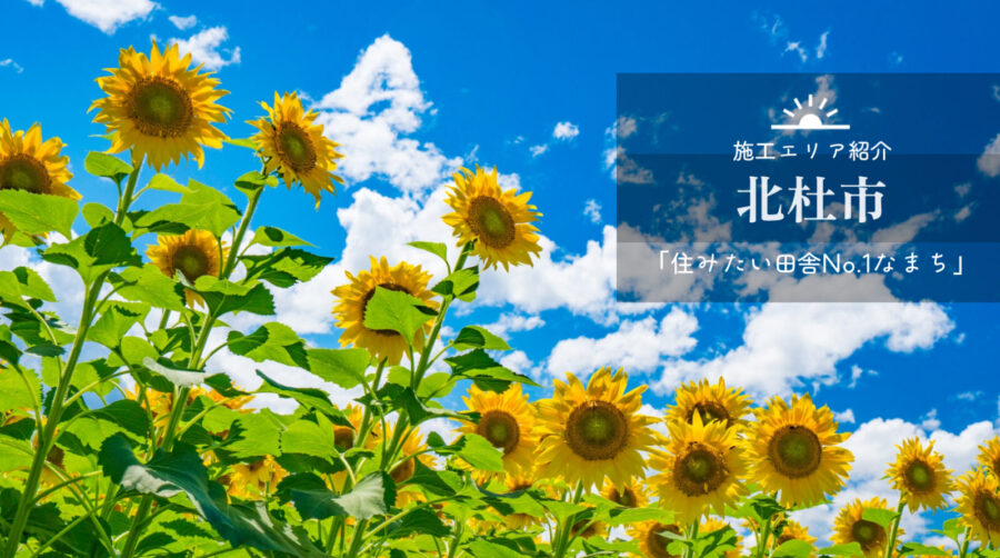 北杜市　ひまわり畑