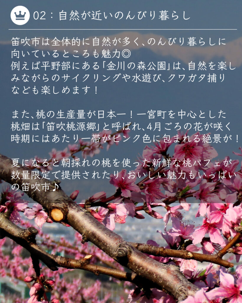 桃の花　桃源郷