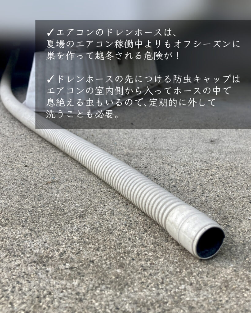 エアコン　ドレンホース　虫が入る　防虫