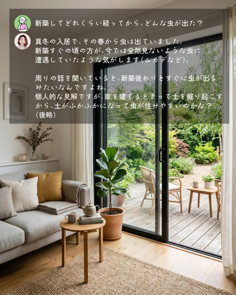 新築　虫が出た
